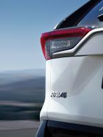 Toyota RAV4 Hybrid Style 2019 года (WW)